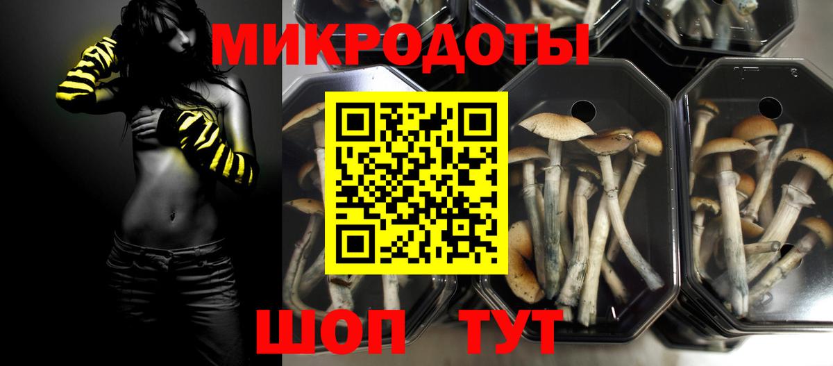 Якутск  Галлюциногенные грибы мухоморы  Галлюциногенные грибы Magic Shrooms  Вход с VPN 