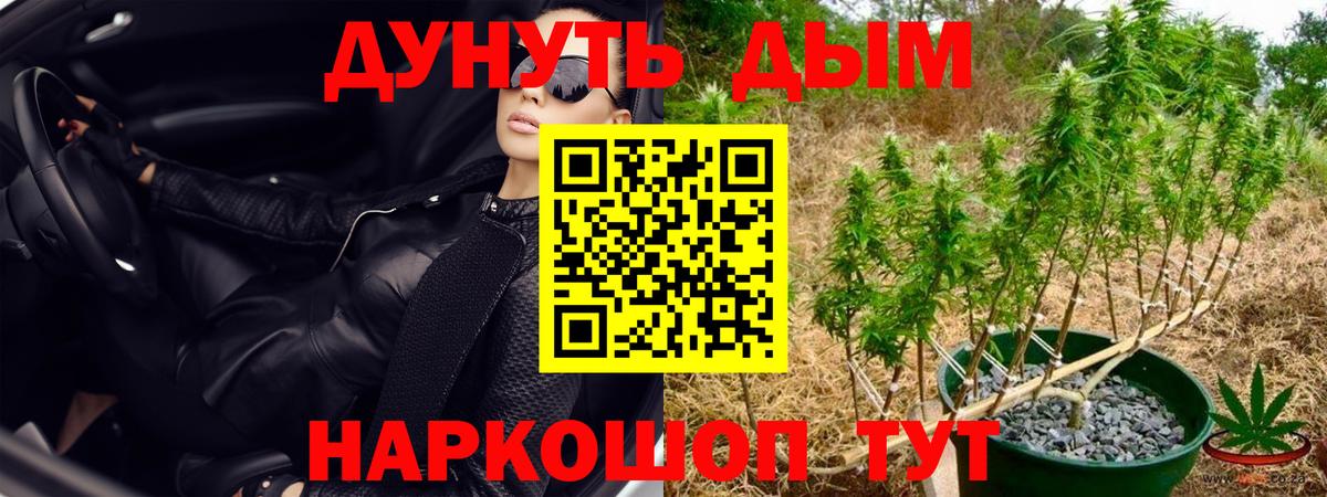 Марихуана Amnesia  МАРИХУАНА VHQ  Вход с VPN  Марихуана сатива  Якутск 