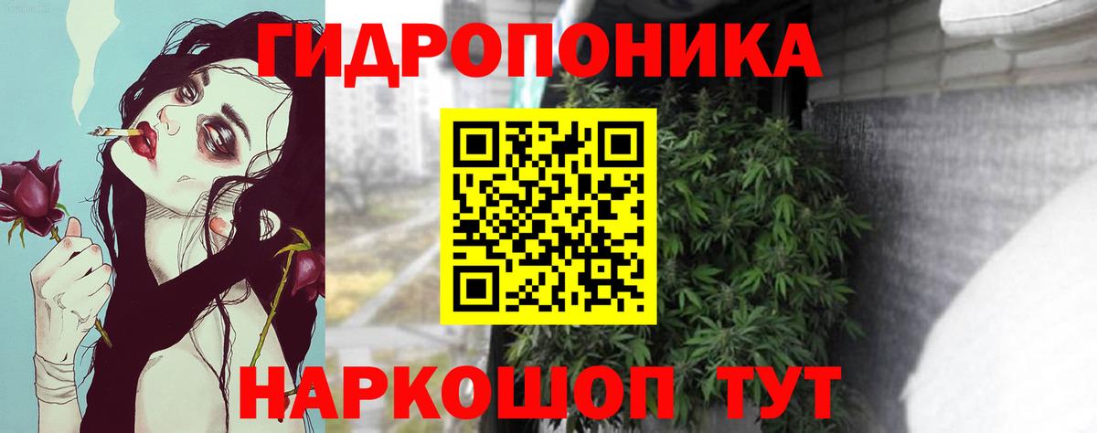 Шишки марихуана Ganja Якутск
